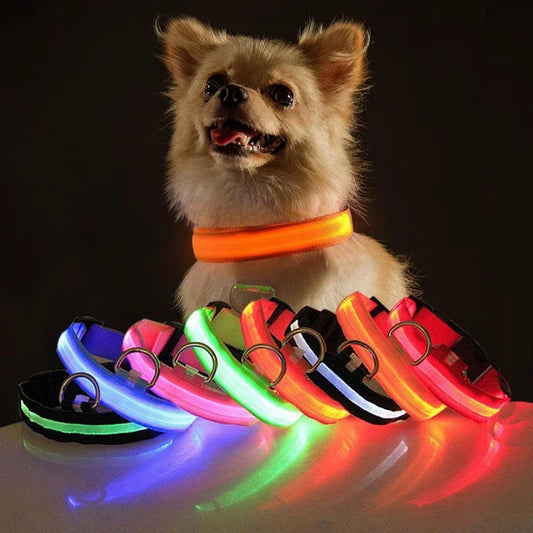Night safety USB Charging LED collar for dogs